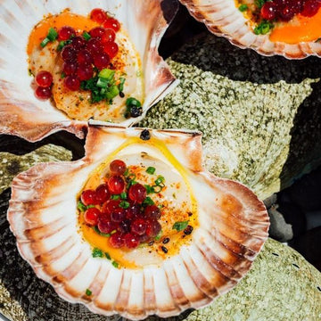 Pickled Scallops with Japanese Pepper & Bloody Shiraz Gin Caviar