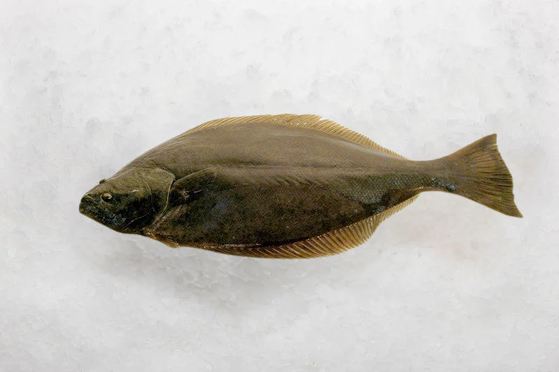 Local Catches