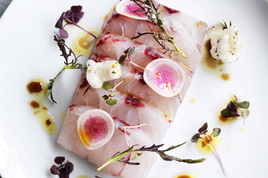 Barramundi (Australian Saltwater)