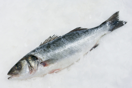 Branzino (European Sea Bass)