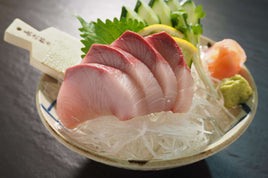 Hamachi / Yellowtail (Frozen)