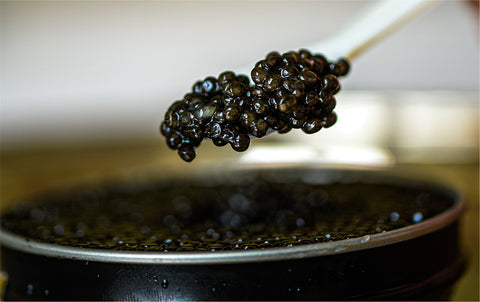 caviar on a spoon