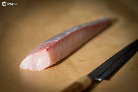 Haku Hiramasa (Kingfish)