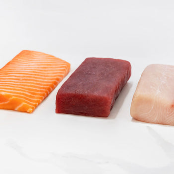 Sashimi Saku Sampler
