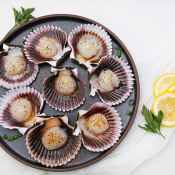Scallops (half shell, raw), fzn