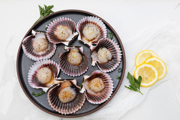 Scallops (half shell, raw), fzn