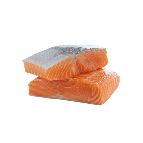 Two raw portions of new zealand king salmon