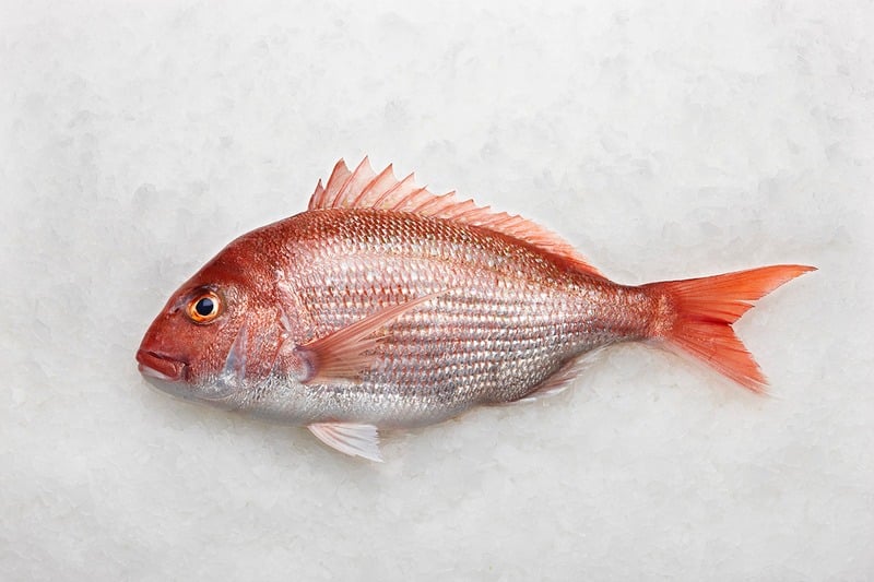 NZ Ike Jime Fish
