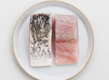 Barramundi (Australian Saltwater)