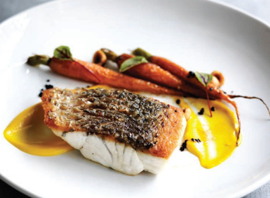 Barramundi (Australian Saltwater)