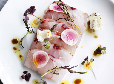 Barramundi (Australian Saltwater)