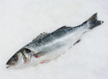 Branzino (European Sea Bass)