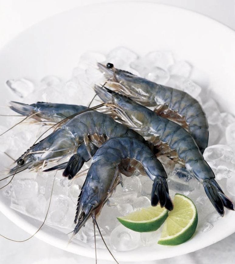 Blue Caledonian Prawns (12/14 ct)