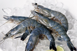 Blue Caledonian Prawns (12/14 ct)