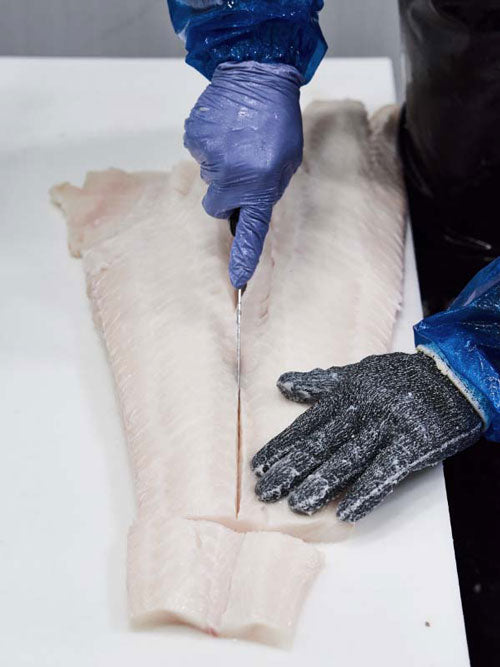 Chilean sea bass fillet being portioned