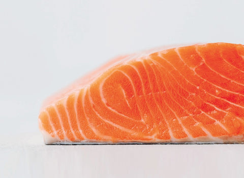 Close-up of a piece of salmon on a light gray background