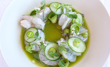Albacore