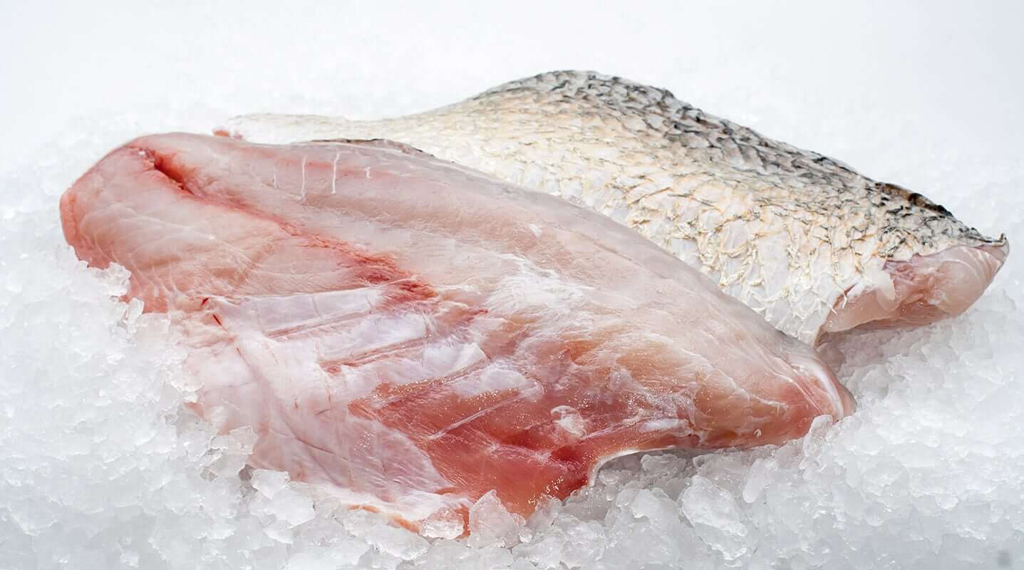 Barramundi (Wild / Fresh)