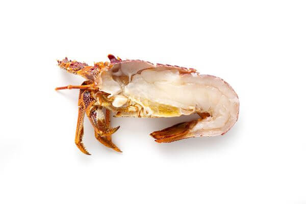 Rock Lobster, half (Australian, raw)