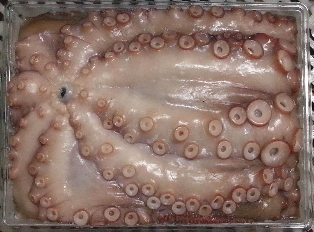 Octopus wild caught pre-tenderized