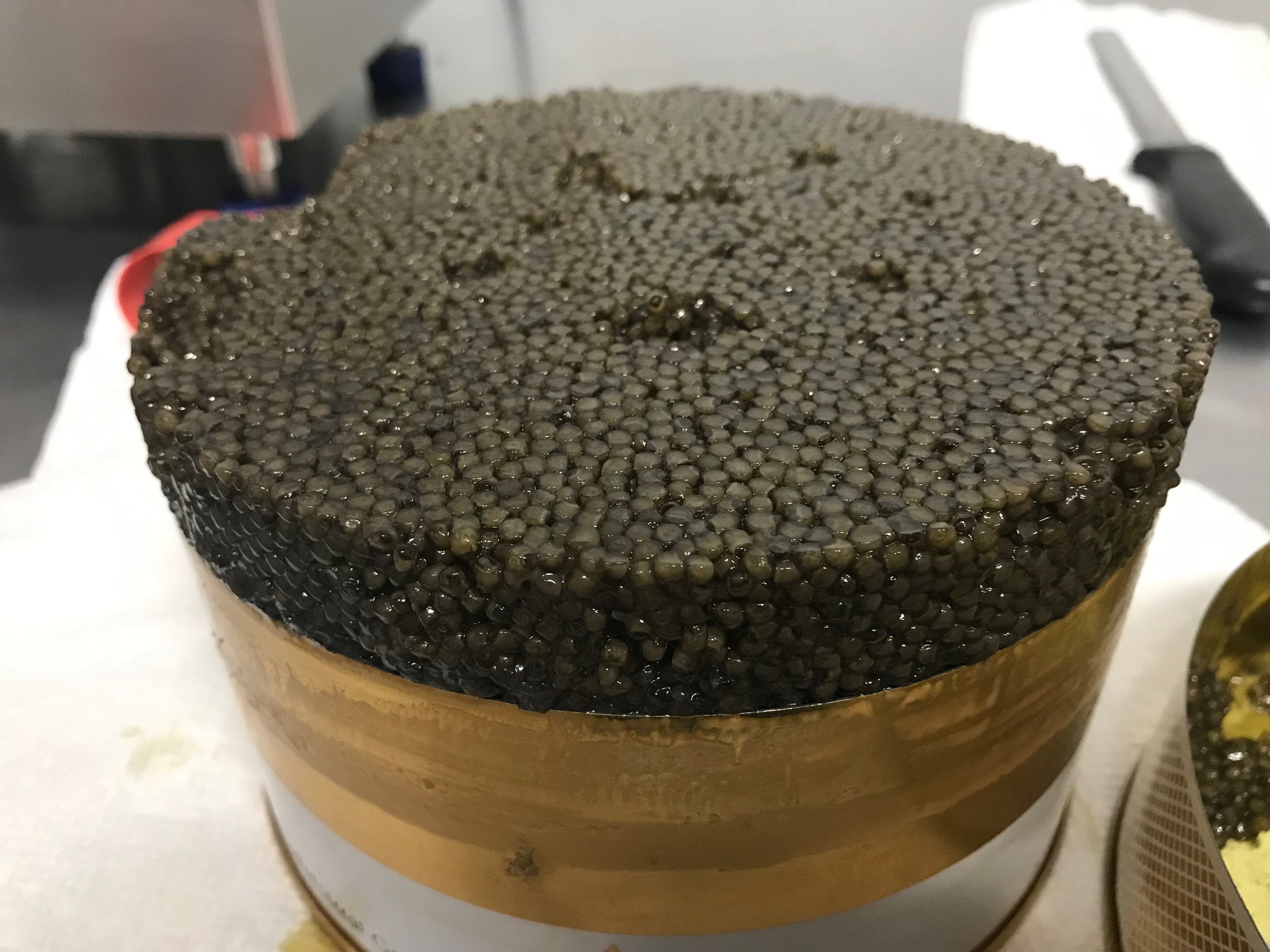 Oscietra Imperial Caviar (Russian Sturgeon)