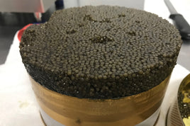 Oscietra Imperial Caviar (Russian Sturgeon)