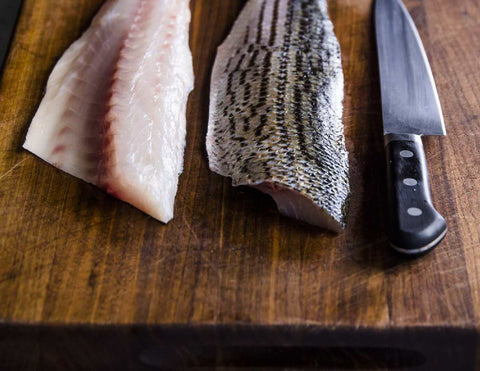 Striped Sea Bass