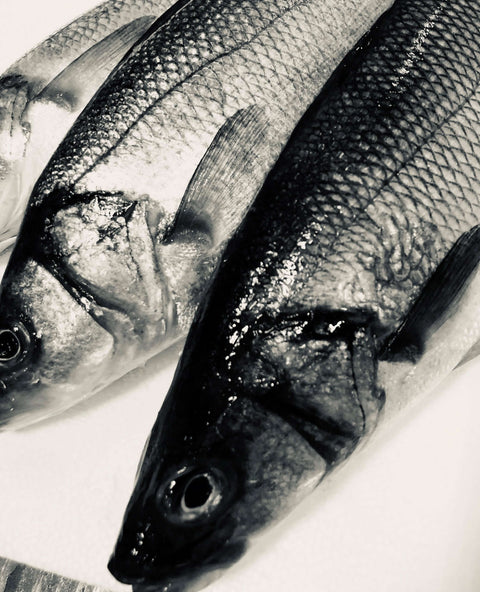 Branzino (European Sea Bass)